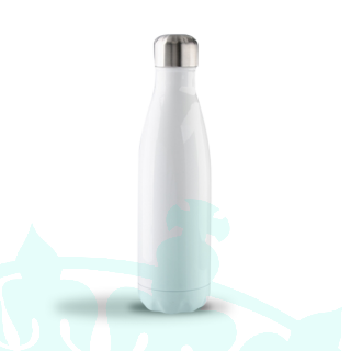17oz Stainless Steel Bottle